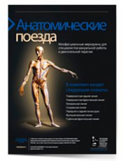 Томас В. Майерс. Плакаты Анатомические поезда: Миофасциальные меридианы для специалистов мануальной работы и двигательной терапии.